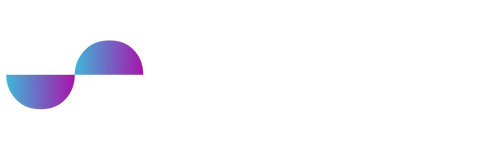 Vizage